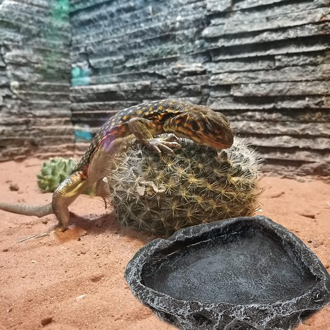 Reptile Water Dish Food Bowl, 2 Pack Reptile Feeding Dish Corner Bowl, Reptile Terrarium Bowls for Bearded Dragon Lizard Frog Gecko Tortoise Hermit Crab CATENESS