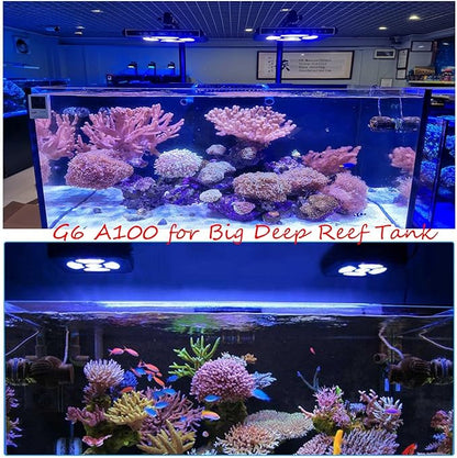 Aquarium Lights-100 watt 5 Channels Sunrise Sunset Moonlight Reef Lights for Coral SPS LPS Saltwater Tank(Black) HIPARGERO