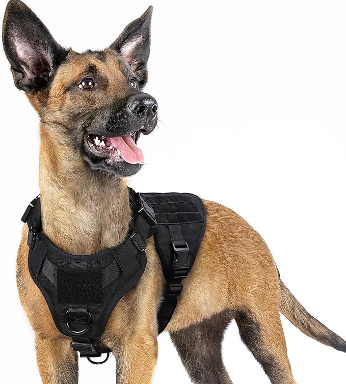 rabbitgoo Tactical Dog Harness for Small, Heavy Duty Pet Harness with Handle, No-Pull Service Vest Small Breed, Adjustable Military Dog Vest for Training Hunting Walking, Black, S rabbitgoo