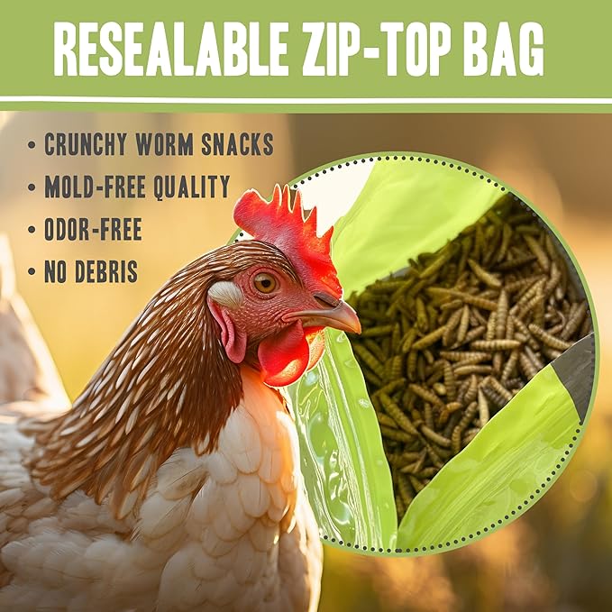 Premium Dried Black Soldier Fly Larvae for Chickens, High Protein Chicken Feed - All-Natural, Non-GMO Treat for Feather Growth and Immune Support - Ideal for Chickens, Ducks, and Quails - 5lb PetFaves