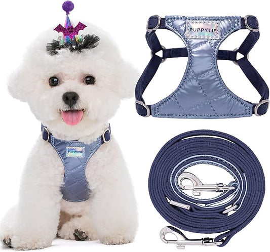 Puppytie No Pull xs Dog Harness with Multifunction Dog Leash,Soft Adjustable No Choke Escape Proof Pet Harness Vest,Glossy Galaxy Blue,XXS Puppytie