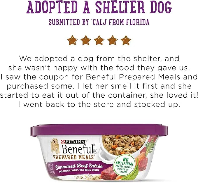 Purina Beneful Gravy Wet Dog Food, Prepared Meals Simmered Beef Entree - (8) 10 oz. Tubs - PAWPICO