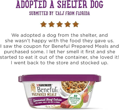 Purina Beneful Gravy Wet Dog Food, Prepared Meals Simmered Beef Entree - (8) 10 oz. Tubs - PAWPICO