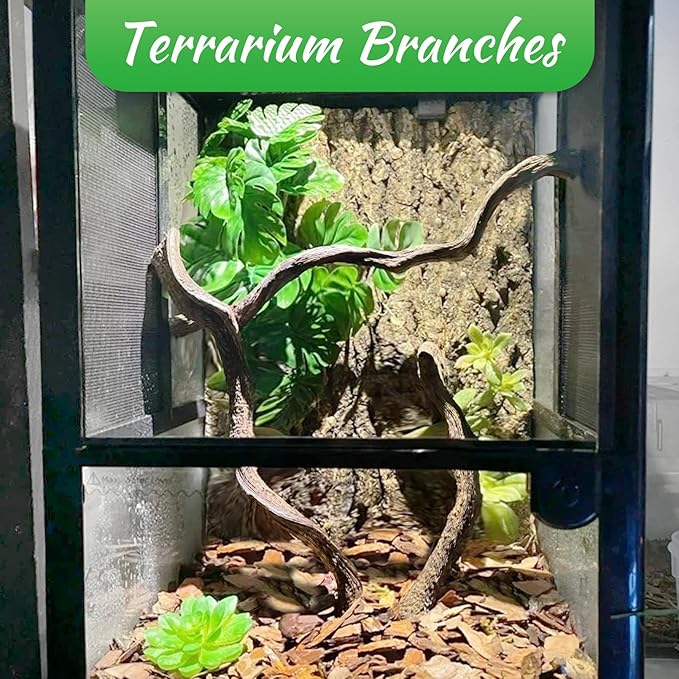 Reptile Branch Decor Snake Climbing Wood Branches Lizard Habitat Decorations Terrarium Natural Forest Tree Trunk Ornament for Bearded Dragon Geckos Chameleon Frog 6 Pcs - S Apatal