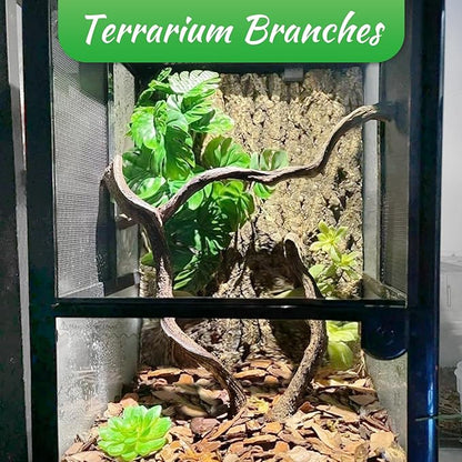 Reptile Branch Decor Snake Climbing Wood Branches Lizard Habitat Decorations Terrarium Natural Forest Tree Trunk Ornament for Bearded Dragon Geckos Chameleon Frog 6 Pcs - S Apatal