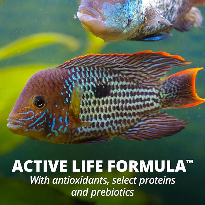 Tetra Cichlid Jumbo Sticks, 3.96 lbs Tetra