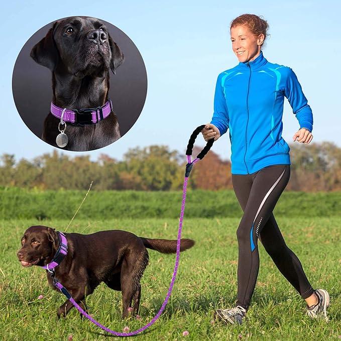 Reflective Dog Collar Padded with Soft Neoprene Breathable Adjustable Nylon Dog Collars for Small Medium Large Dogs (Medium (Pack of 1), Purple Collar+Leash) ladoogo