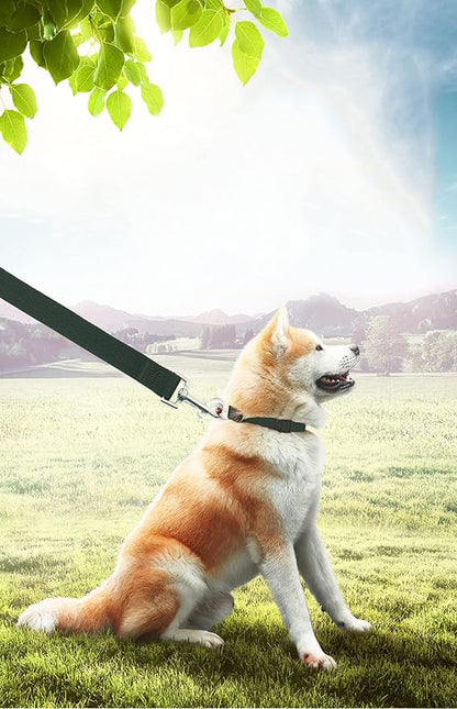15ft 20ft 30ft 40ft 50ft Long Dog/Puppy Lead Obedience Recall Training Dog Leashes for Small Medium Dogs Camping, Training, Play, or Backyard (15 FT, Green) PETGOGO