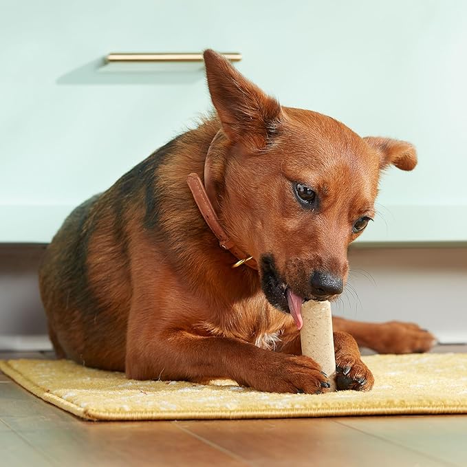 Rachael Ray Nutrish Soup Bones Long Lasting Dog Chews Variety Pack, 22 Count (Pack of 1) - PAWPICO