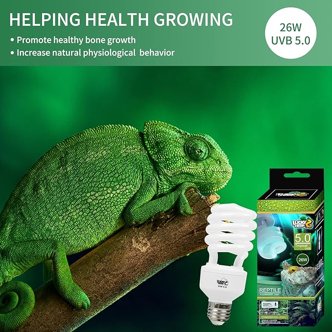 LUCKY HERP Reptile UVA UVB Light 5.0 26W Compact Fluorescent Tropical Terrarium Lamp LUCKYHERP