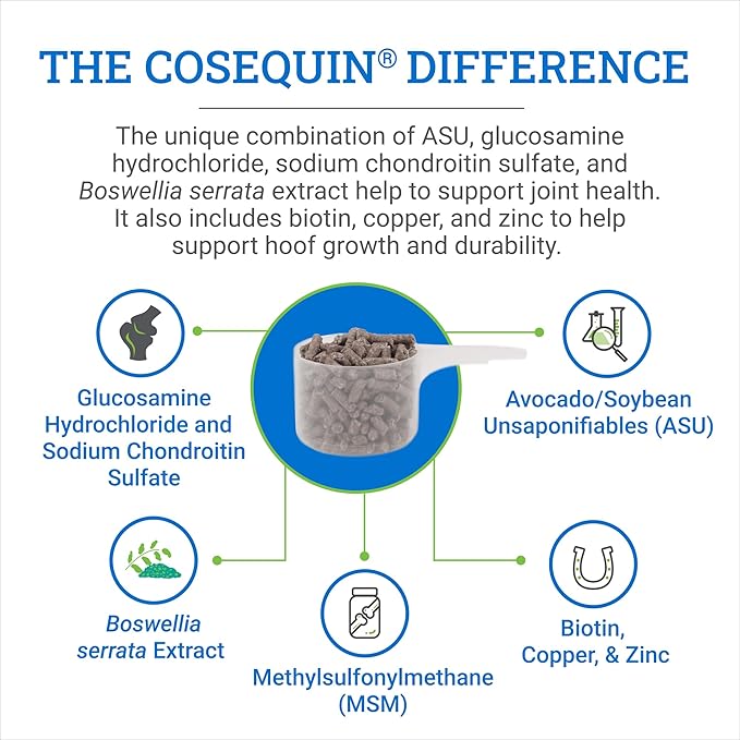 Nutramax Laboratories Cosequin ASU Joint & Hoof Pellets Joint Health Supplement for Horses - Pellets with Glucosamine, Chondroitin, MSM, and Biotin, 1200 Grams NutramaxLaboratories
