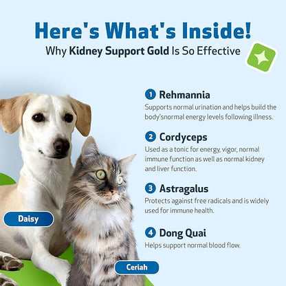 Pet Wellbeing Kidney Support Gold for Dogs & Cats - Healthy Kidney Function, Energy & Fluid Balance, Normal Appetite, Rehmannia, Dong Quai - Veterinarian-Formulated Herbal Supplement 4 oz (118 ml) PetWellbeing