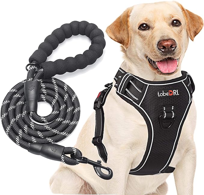 tobeDRI No Pull Dog Harness Adjustable Reflective Oxford Easy Control Medium Large Dog Harness with A Free Heavy Duty 5ft Dog Leash (XL (Neck: 21.5"-33", Chest: 30"-39.5"), Black Harness+Leash) - PAWPICO