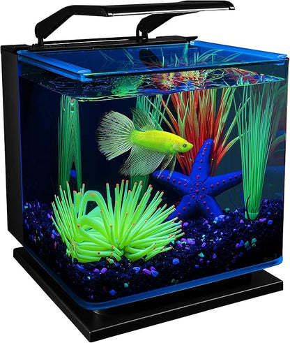 GloFish Betta Shadowbox Aquarium Kit GloFish