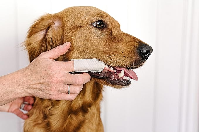 Dental Finger Wipes with Spearmint Oil for Dogs & Cats. Removes Plaque & Tartar, Care for Gums & No Rinsing Required. petwiz