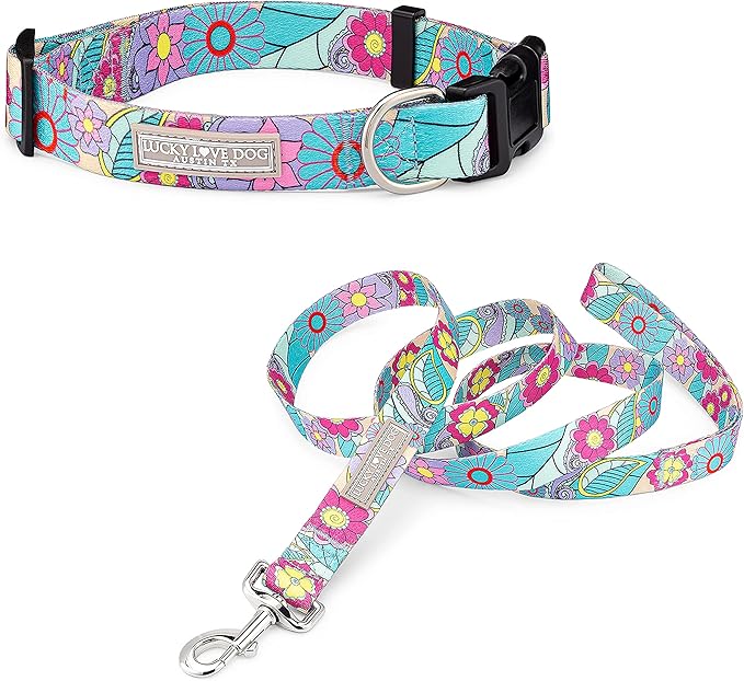 Lucky Love Dog Collar and Leash Combo, Cute Collar and Leash Set for X-Small Female Dogs, Part of Purchase Donated to Rescue (XS, Caroline, Combo) LuckyLoveDog