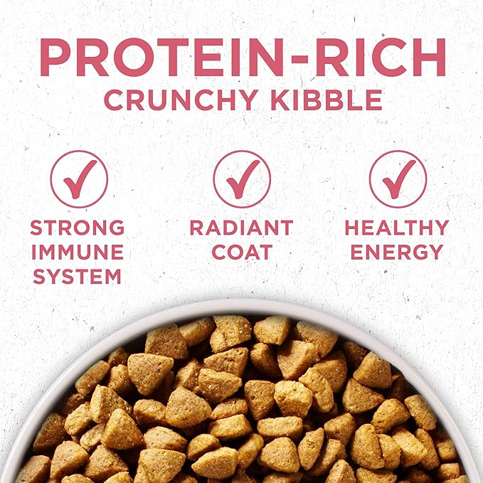 Purina ONE Natural, Sensitive Stomach Dry Dog Food, +Plus Skin & Coat Formula - 16.5 lb. Bag - PAWPICO