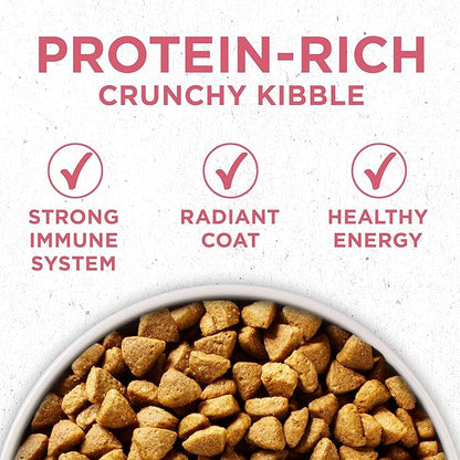 Purina ONE Natural, Sensitive Stomach Dry Dog Food, +Plus Skin & Coat Formula - 16.5 lb. Bag - PAWPICO