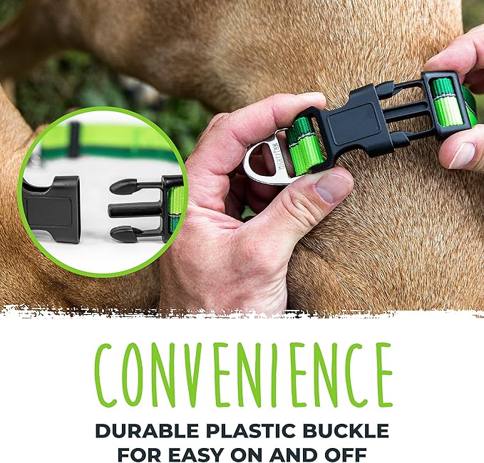 Mighty Paw Martingale Dog Collar 2.0 | Trainer Approved Limited Slip Collar with Stainless Steel Chain & Heavy Duty Buckle - Modified Cinch for Gentle & Effective Pet Training - Large, Green MightyPaw