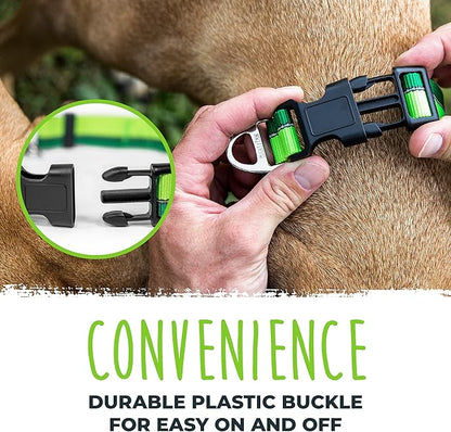 Mighty Paw Martingale Dog Collar 2.0 | Trainer Approved Limited Slip Collar with Stainless Steel Chain & Heavy Duty Buckle - Modified Cinch for Gentle & Effective Pet Training - Large, Green MightyPaw