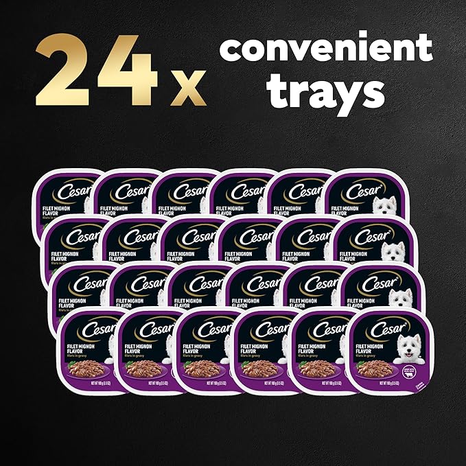 CESAR Filets in Gravy Adult Wet Dog Food, Filet Mignon Flavor, 3.5 oz. Easy Peel Trays, Pack of 24 - PAWPICO