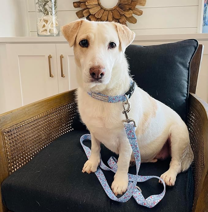 Lucky Love Dog Collar, Cute Winter Dog Collars for Large Dogs, Blue Snowflake Dog Collar for Male and Female Dogs, Part of Purchase Donated to Dog Rescue - (Winterblue Collar, L) LuckyLoveDog