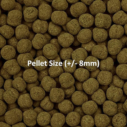 Ocean Nutrition Formula Two Pellets - Fish Food for Herbivorous & Omnivorous Marine Tropical Fish, High Protein(40%) - 1.1 lbs (500 g) XL Pellets OceanNutrition