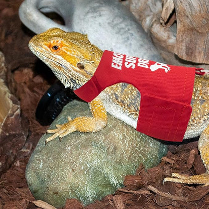 Bearded Dragon Harness and Leash Set - Escape Proof Adjustable Lizard Reptiles Harness with 5 ft Short Leash for Walking Outdoor tukoaw