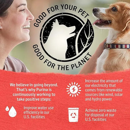 Purina Beyond Grain Free, Natural Pate Wet Dog Food, Chicken & Beef Recipe Variety Pack - (12) 13 oz. Cans - PAWPICO