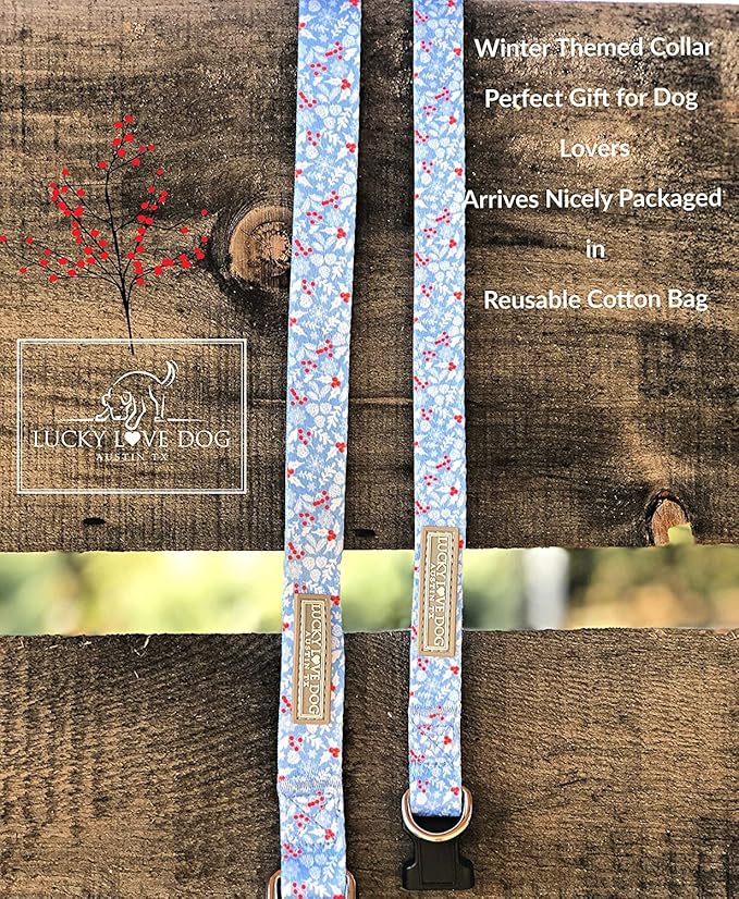 Lucky Love Dog Blue Winter Combo Set, Adjustuble Comfortable Dog Collar and Leash Set, Snowflake Christmas Combo Set for Medium Dogs - (Winterblue Combo, Medium) LuckyLoveDog