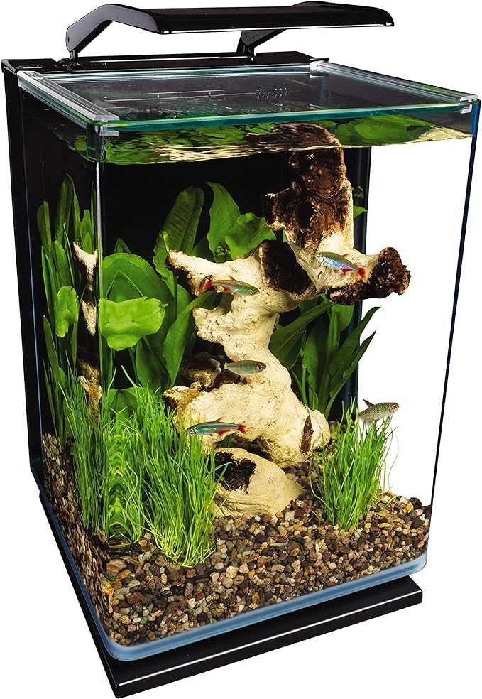 Marineland Portrait Glass LED Aquarium Kit, 5 Gallons, Hidden Filtration,Black Marineland