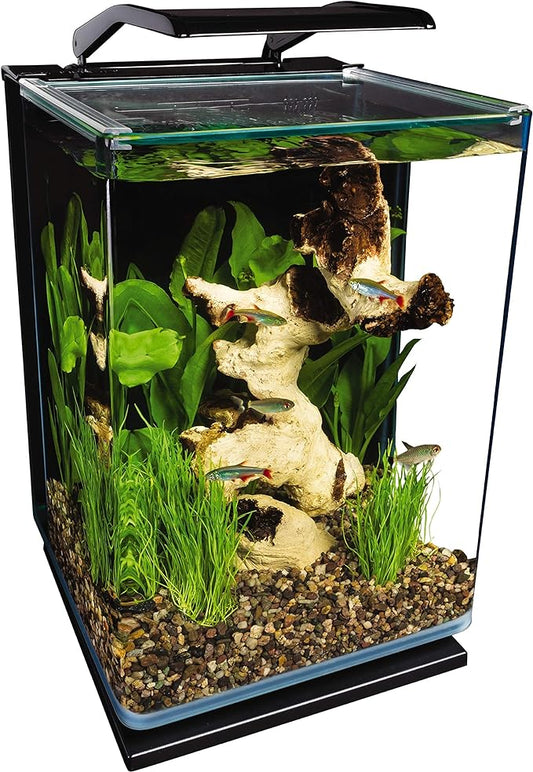 Marineland Portrait Glass LED Aquarium Kit, 5 Gallons, Hidden Filtration,Black Marineland