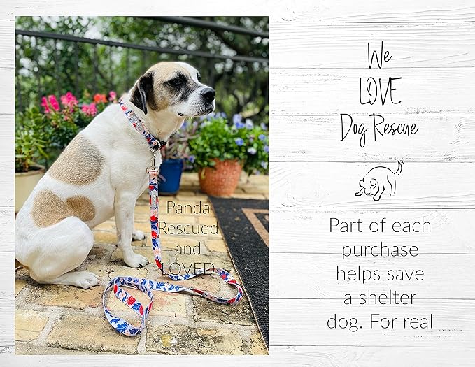 Lucky Love Dog Collars, Strawberry Cute Girl Dog Collar, Medium Dog Collars for Females, Part of Purchase Donated to Rescue (Medium, Sweet Berry, Collar) LuckyLoveDog