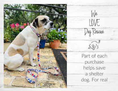 Lucky Love Dog Collars, Strawberry Cute Girl Dog Collar, Medium Dog Collars for Females, Part of Purchase Donated to Rescue (Medium, Sweet Berry, Collar) LuckyLoveDog
