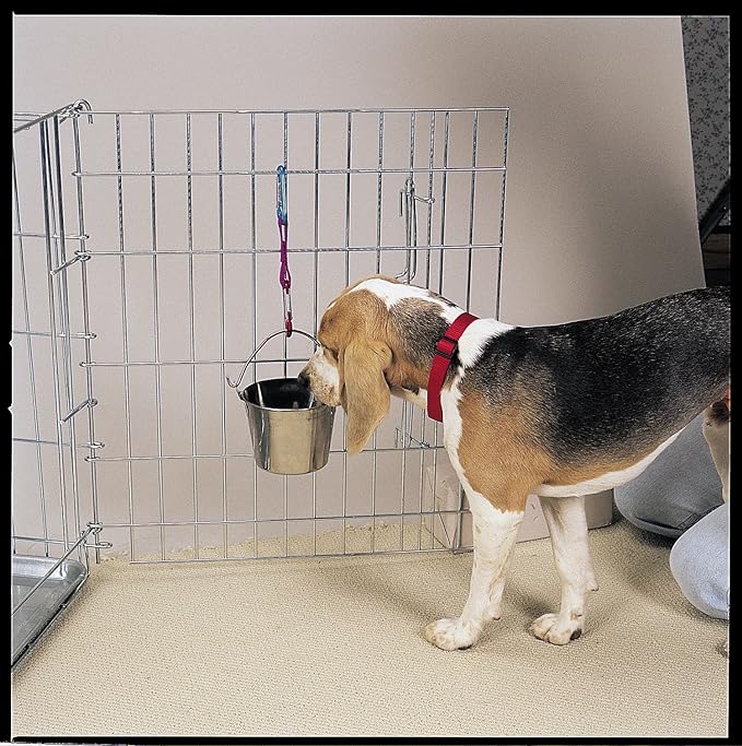 Pro Select Stainless Steel Pet Pail, 1-Quart Size – Heavy Duty Flat Sided Pail Great for Providing Water in Pet Kennels PetEdge