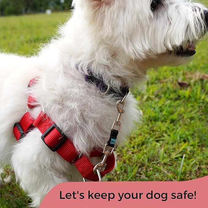 Gentle Creatures Collar Companion - Mini to Small Dogs Collar Backup Clip for Dog Harness, Prong Collar, Pinch Collar, Gentle Lead - Double Ended Backup Clasp - Harness to Collar Safety Clip GentleCreatures