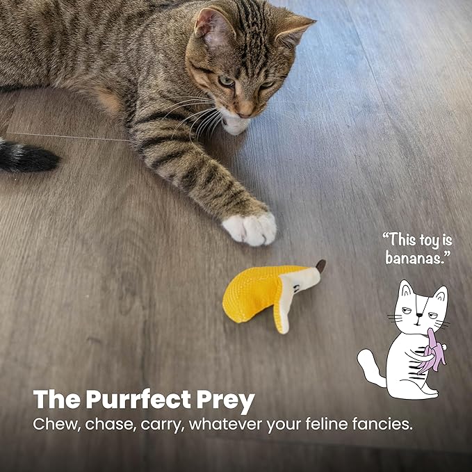 Catstages Dental Banana Catnip Cat Chew Toy - PAWPICO