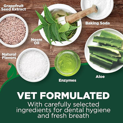 Vet's Best Dog Toothbrush & Enzymatic Toothpaste Kit - Teeth Cleaning - Made with Natural Ingredients - Reduces Plaque, Whitens Teeth, Freshens Breath - Bonus Care Guide & Finger Brush Included VetsBest