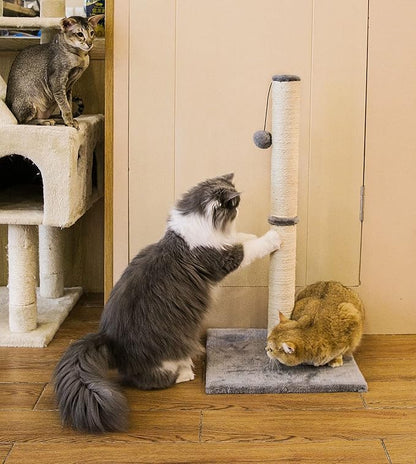 32 Inches Tall Cat Scratching Post, Cat Scratch Post Tree Kitten Scratcher with Sisal Rope, Scratching Post for Indoor Cats with Hanging Ball - PAWPICO