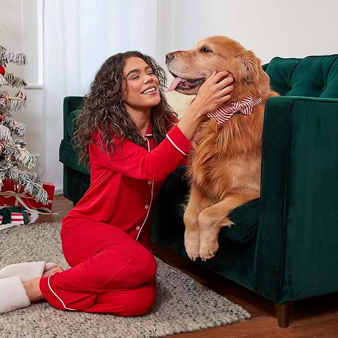 Milk-Bone Limited Edition Holiday Dog Treats, Small Biscuits, 24 Ounce Reusable Tin - PAWPICO