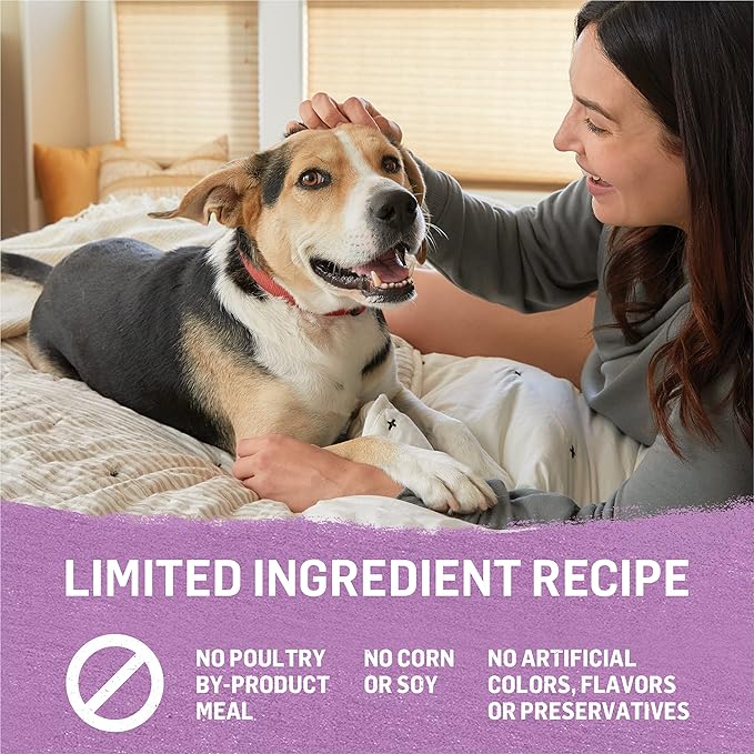 Purina Beyond Grain Free Gravy Wet Dog Food, Grain Free Turkey & Green Bean Recipe in Gravy - (12) 12.5 oz. Cans - PAWPICO