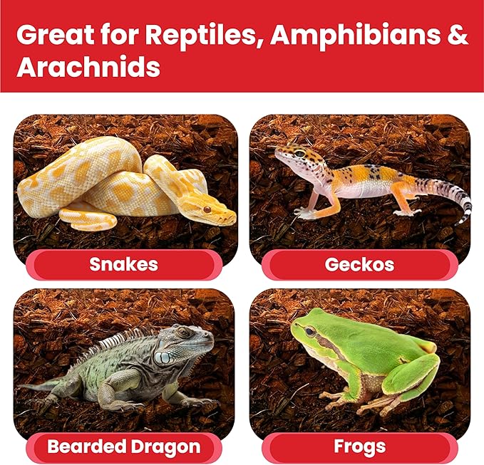 ReptiCare Coconut Husk Chips 12 Quarts of Ready to Use Organic Coco Husk Bedding for Ball Pythons, Snakes, Tortoises, Crested Geckos, Frogs, or Lizard Terrarium Tanks - 2.87 lb Gro-Med