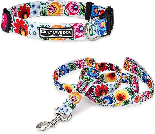 Lucky Love Dog - Easy Click Buckle Dog Collar with Leash Set Combo, Durable & Comfortable Collar for Male & Female Dogs, Pet Collar for Small to Large Dogs, Secure Fit - Ladybird Combo, X-Small LuckyLoveDog