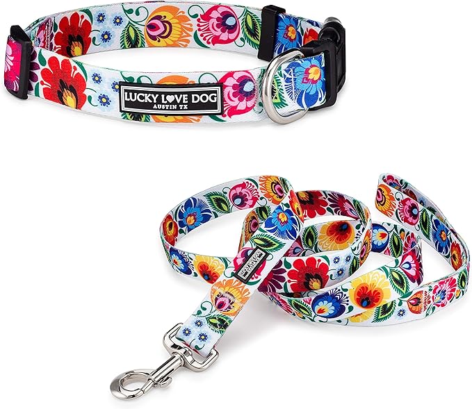 Lucky Love Dog - Easy Click Buckle Dog Collar with Leash Set Combo, Durable & Comfortable Collar for Male & Female Dogs, Pet Collar for Small to Large Dogs, Secure Fit - Ladybird Combo, Medium LuckyLoveDog