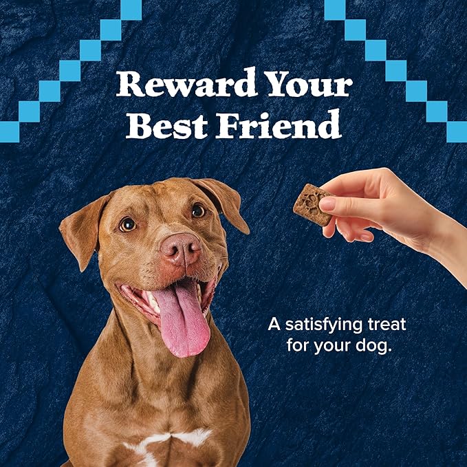 Blue Buffalo Wilderness Trail Treats High Protein Grain Free Crunchy Dog Treats Biscuits, Turkey Recipe, 36-oz box - PAWPICO