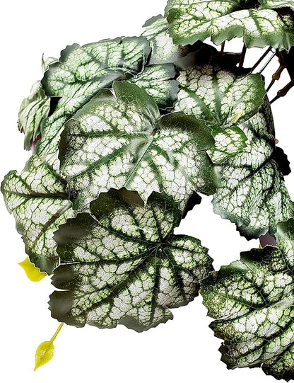Woyrise Reptile Plants, Terrarium Hanging Plants Vines for Reptile Tank, Amphibian Habitat Leaves Decor with Suction Cups for Bearded Dragon Lizard Snake Gecko Frog Hermit Crab - 2Pack Green Heuchera Woyrise
