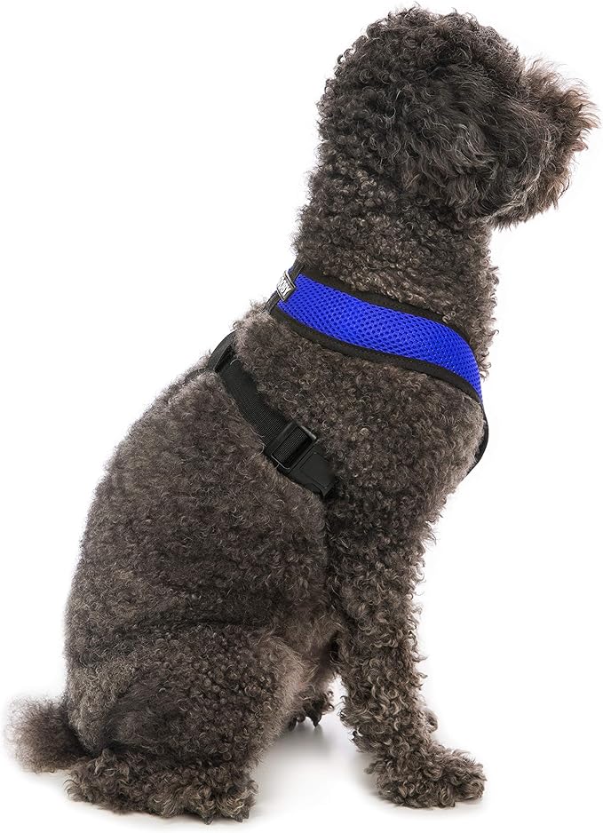 Gooby Comfort X Head in Harness - Blue, Large - No Pull Small Dog Harness, Patented Choke-Free X Frame - Perfect on The Go Dog Harness for Medium Dogs No Pull or Small Dogs for Indoor and Outdoor Use Gooby