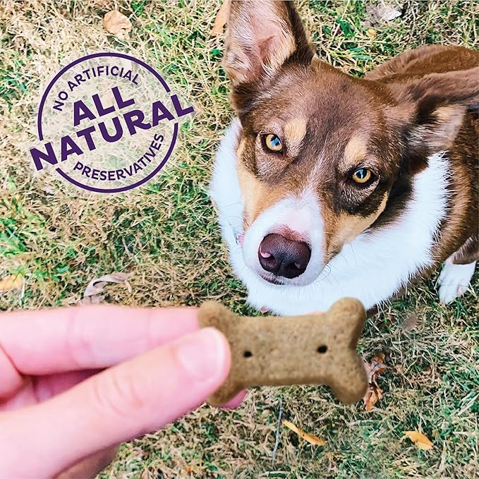 Wellness Old Mother Hubbard Classic P-Nuttier Natural Dog Treats, Crunchy Oven-Baked Biscuits, Ideal for Training, Small Size, 20 ounce bag - PAWPICO