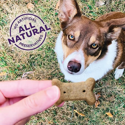 Wellness Old Mother Hubbard Classic P-Nuttier Natural Dog Treats, Crunchy Oven-Baked Biscuits, Ideal for Training, Small Size, 20 ounce bag - PAWPICO