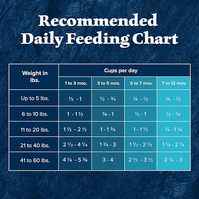 Blue Buffalo Wilderness High-Protein Rocky Mountain Recipe Dry Food for Puppies, Red Meat & Grains, 4.5-lb. Bag - PAWPICO